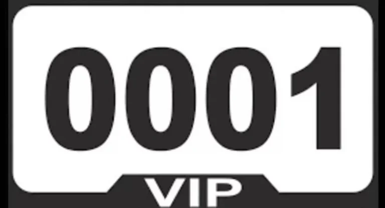 vip-1761449752538