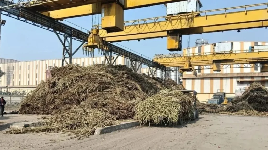 उत्तराखंड कैबिनेट का अहम निर्णय: पेराई सत्र 2025-26 के लिए चीनी मिलों को 270 करोड़ रुपये की स्टेट गारंटी